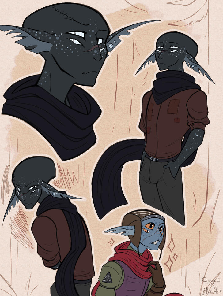 commission for cr0wfeathers